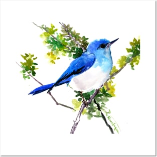 mountain Bluebird Posters and Art